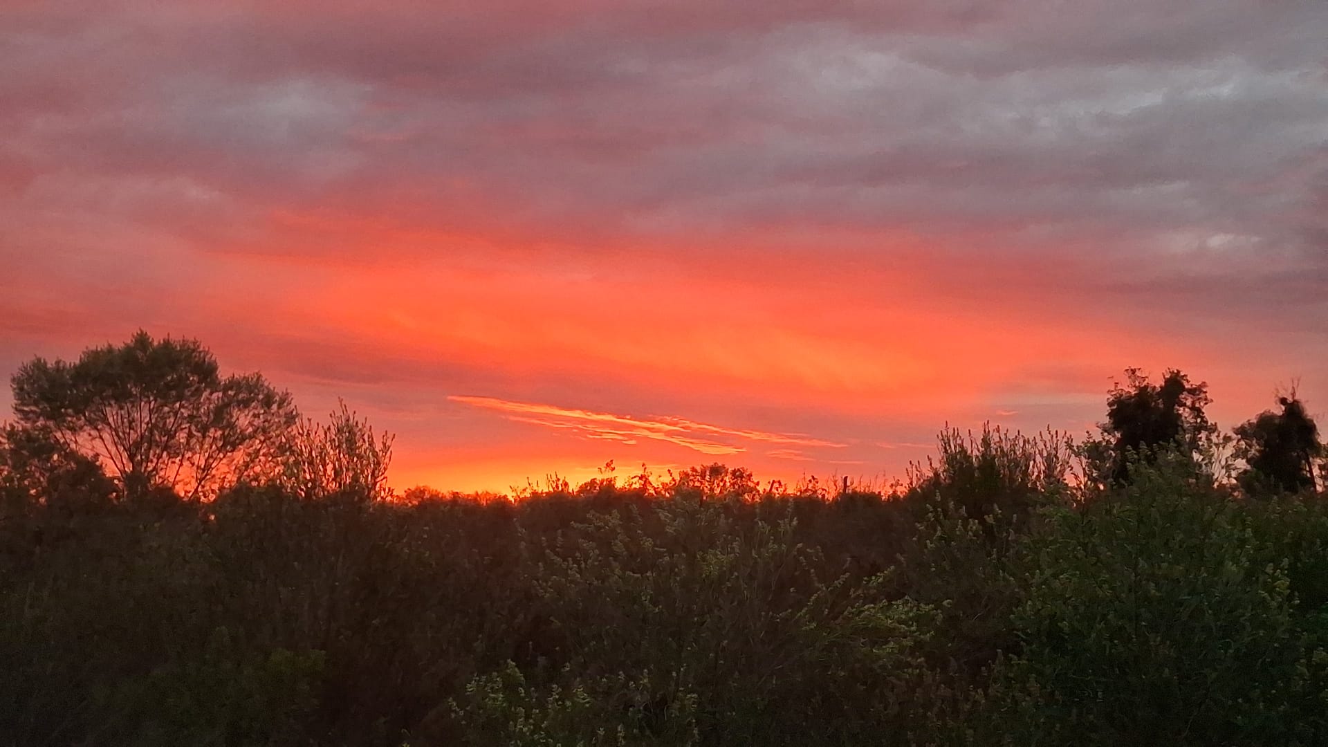 Amanecer en vivero espacio de las Mariposas