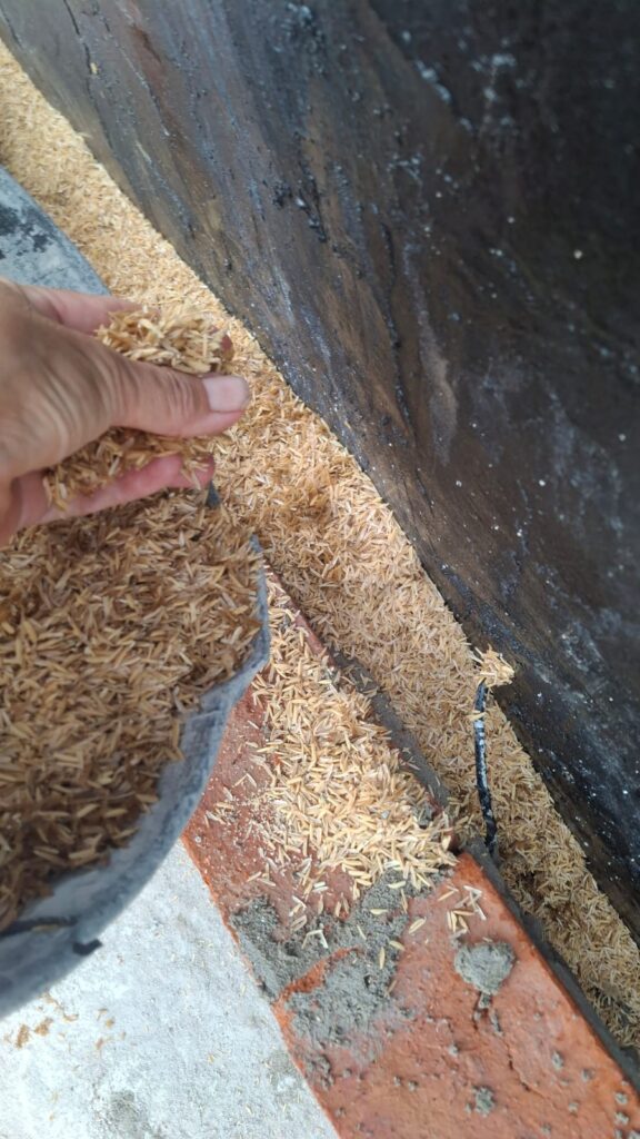 Cascara de arroz como aislante termico en camara.